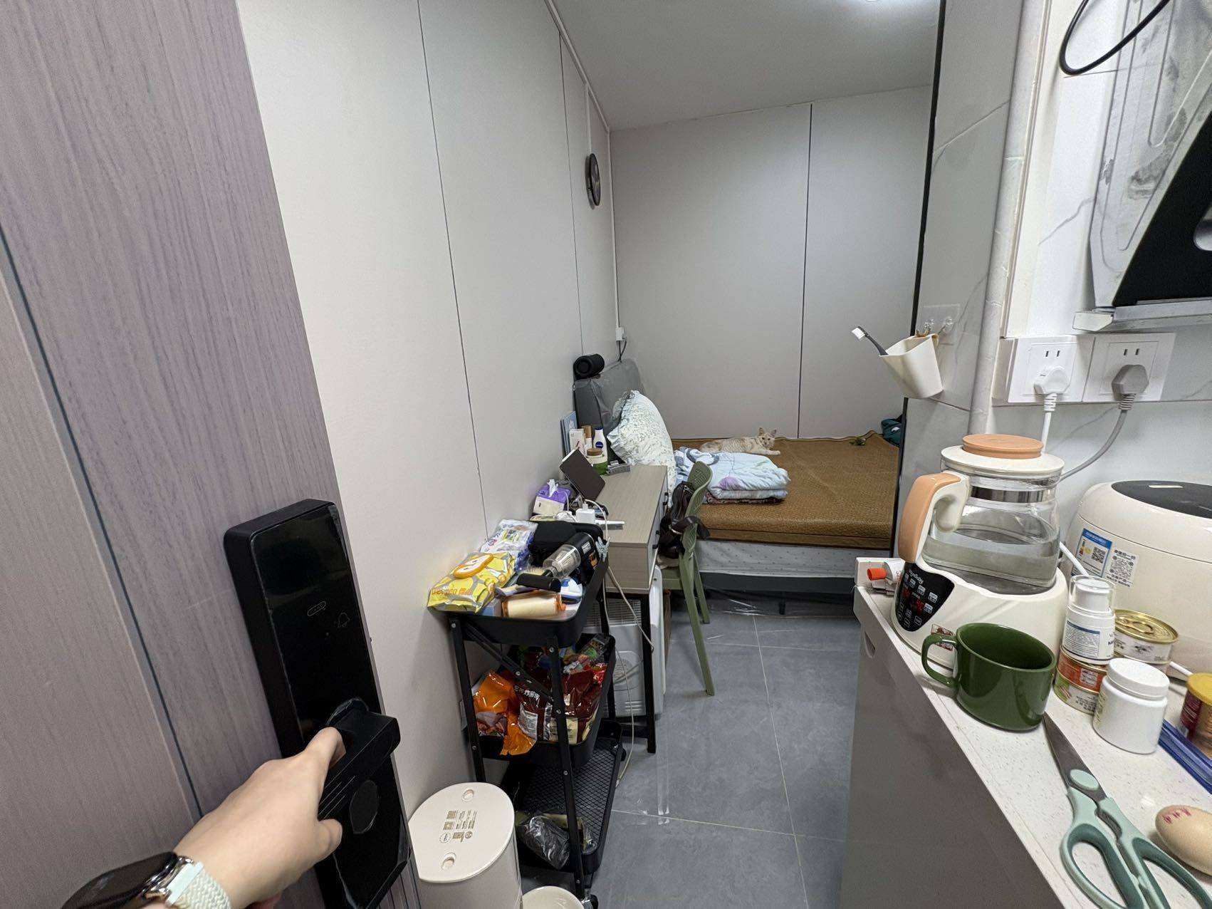 Shenzhen-Nanshan-Cozy Home,Clean&Comfy,No Gender Limit,Pet Friendly