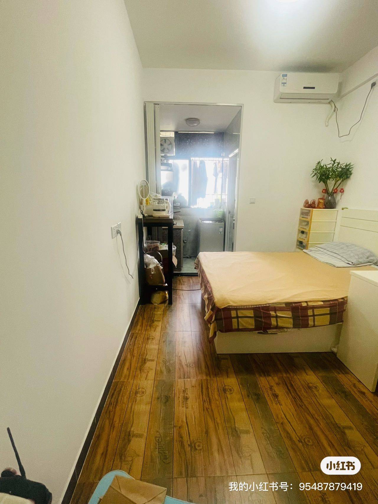 深圳-南山-溫馨小窩,寵物友好