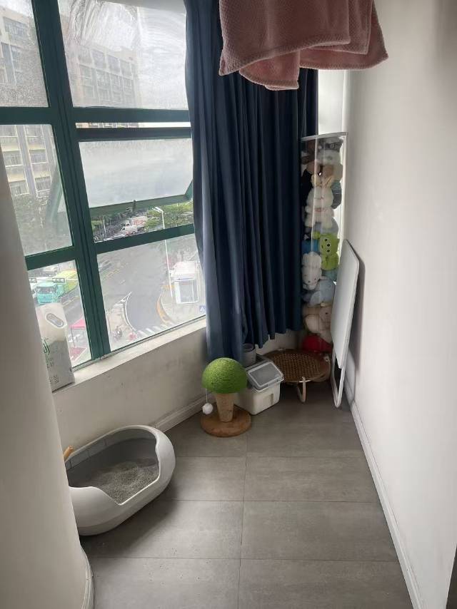 Shenzhen-BaoAn-Cozy Home,Clean&Comfy,No Gender Limit,Pet Friendly