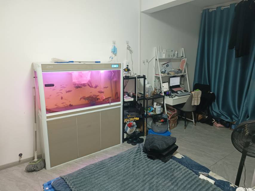 合肥-肥西县-温馨小窝,干净治愈,不限性别,市井烟火气,慢时光