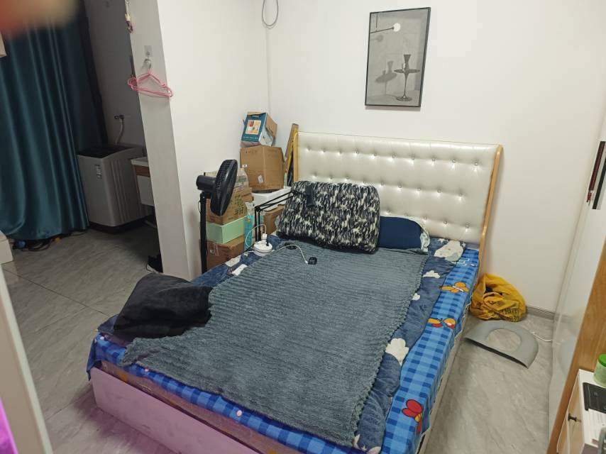 合肥-肥西縣-溫馨小窩,乾淨治愈,不限性別,市井煙火氣,老友記,慢時光,LGBTQ友好,寵物友好