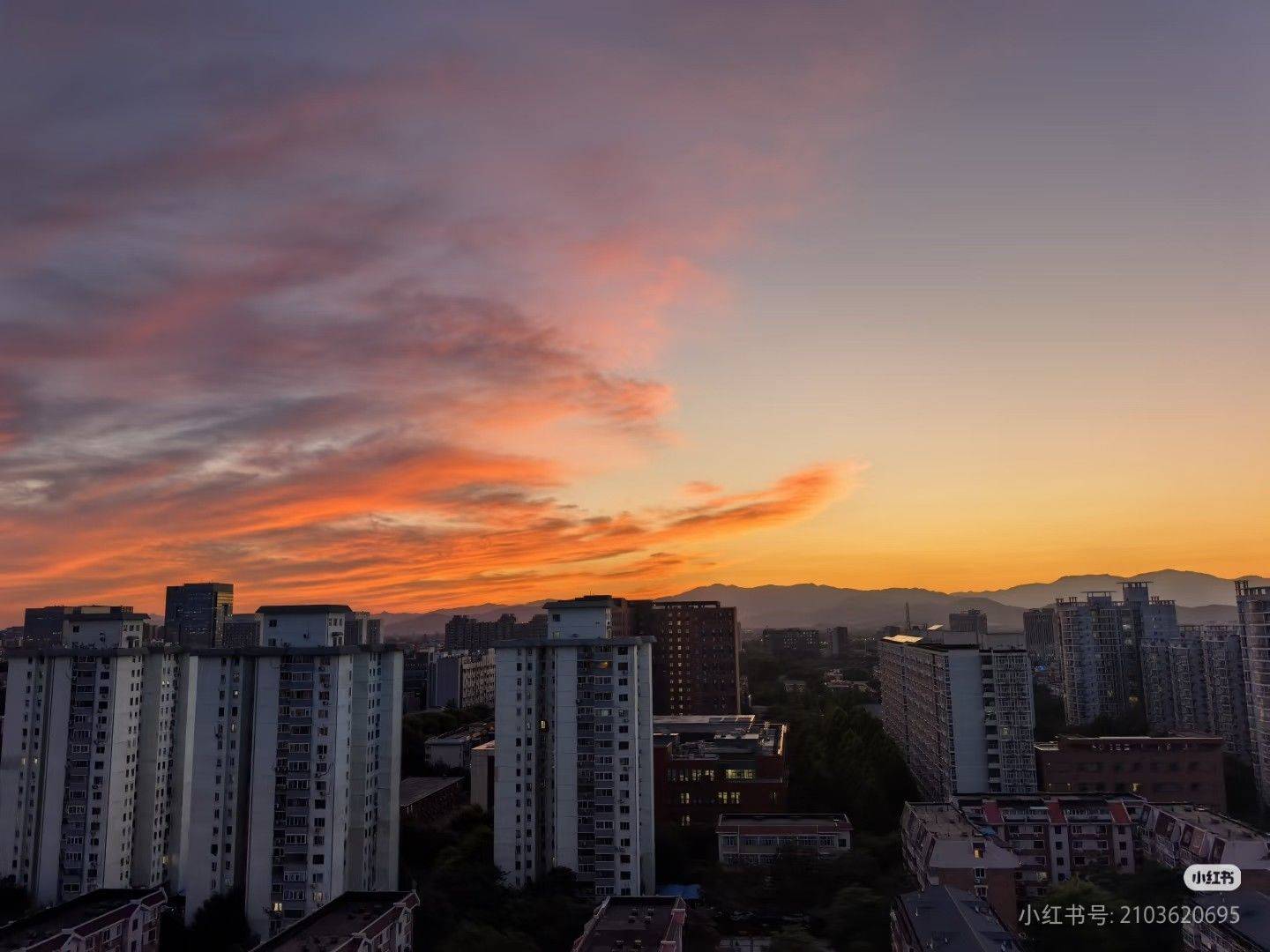 Beijing-Haidian-Cozy Home,Clean&Comfy,No Gender Limit,Pet Friendly