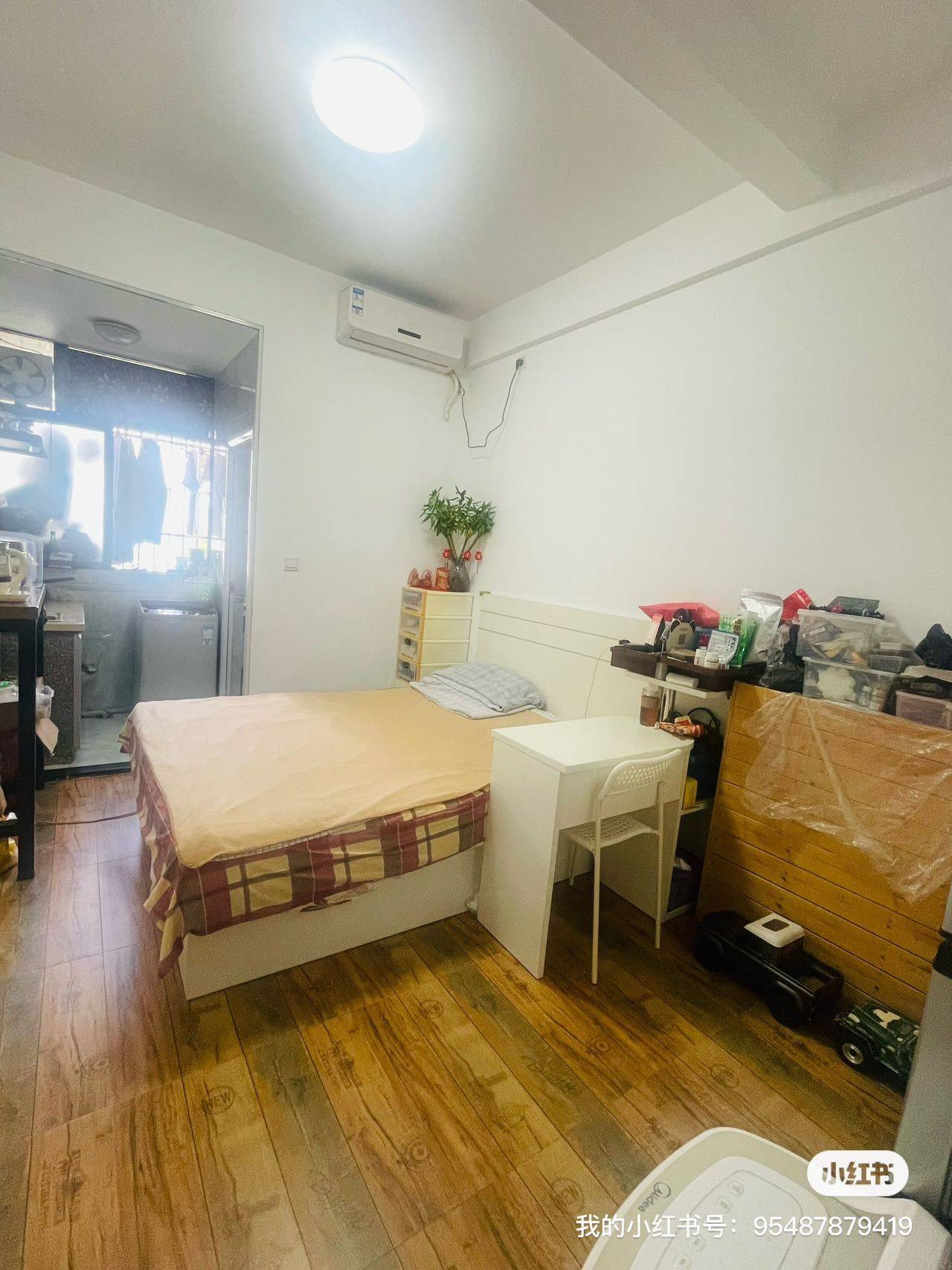 深圳-南山-溫馨小窩,寵物友好