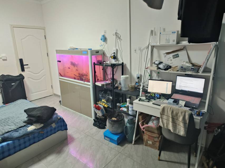 合肥-肥西縣-溫馨小窩,乾淨治愈,不限性別,市井煙火氣,老友記,慢時光,LGBTQ友好,寵物友好