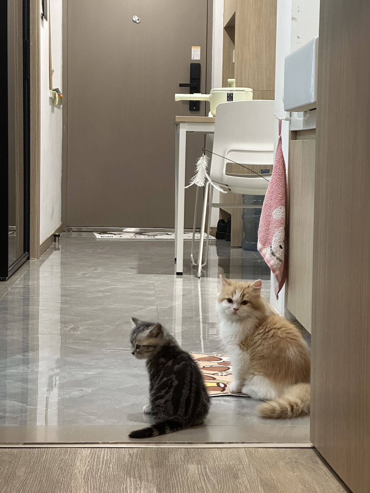 Shanghai-Pudong-Cozy Home,Clean&Comfy,No Gender Limit,Hustle & Bustle,“Friends”,Chilled,LGBTQ Friendly,Pet Friendly