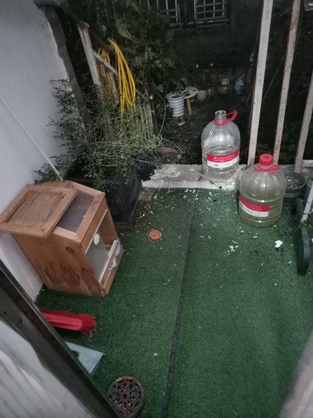 Chengdu-Shuangliu-Cozy Home,Clean&Comfy,No Gender Limit,Hustle & Bustle