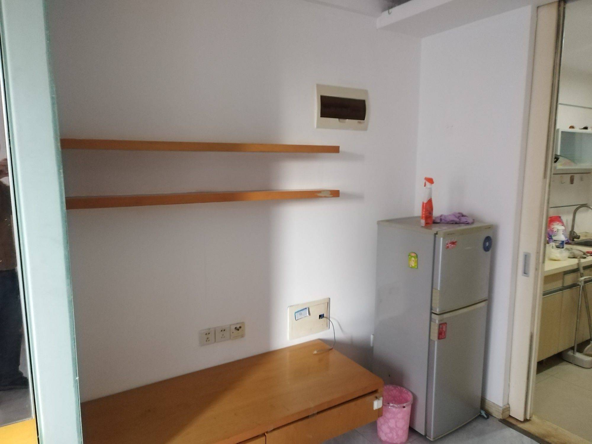 南京河西奥体整租房源3