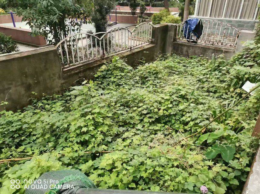 Chengdu-Shuangliu-Cozy Home,Clean&Comfy,No Gender Limit,Hustle & Bustle