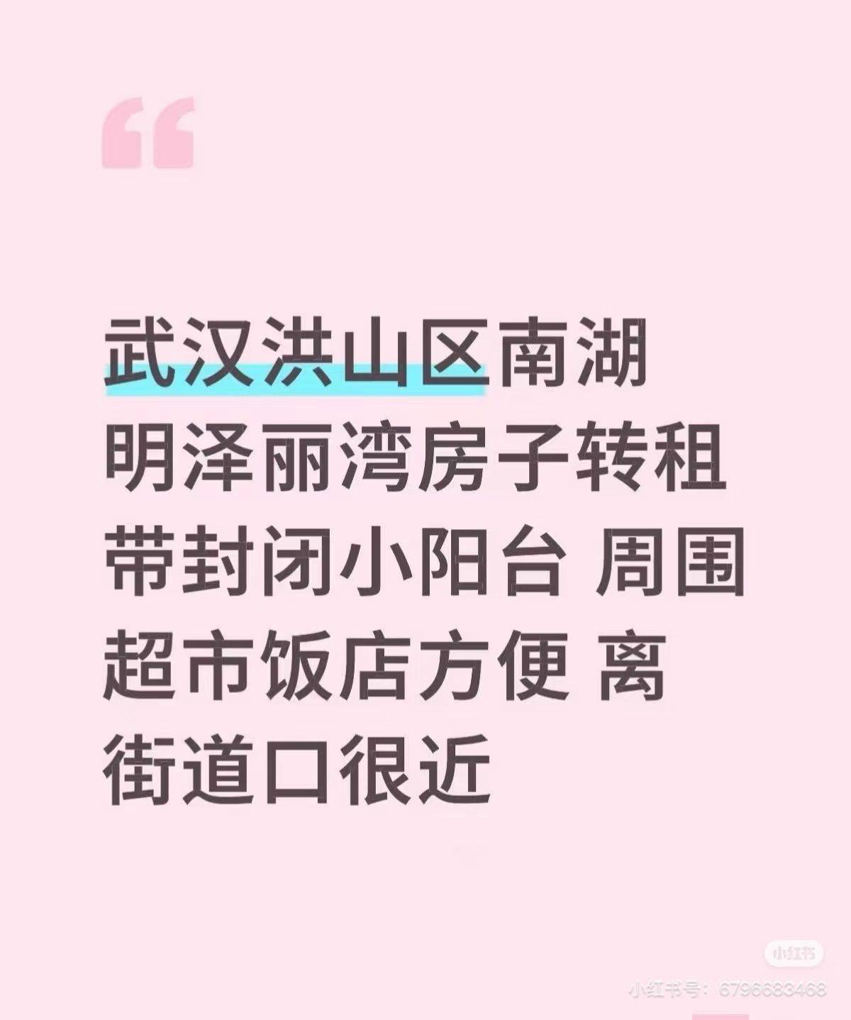 武汉-洪山-溫馨小窩,乾淨治愈,不限性別,慢時光,寵物友好