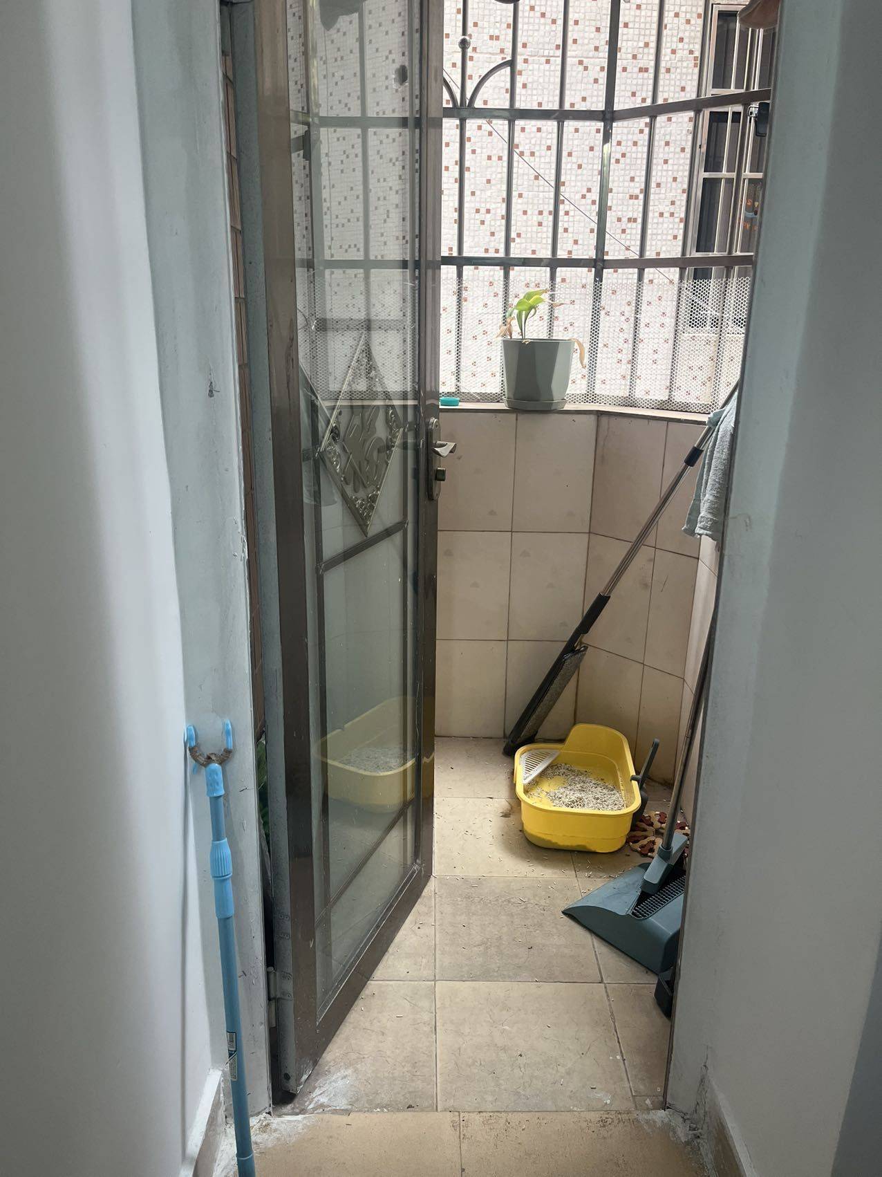 Guangzhou-Baiyun-Cozy Home,Clean&Comfy,No Gender Limit,Hustle & Bustle,“Friends”,Chilled,LGBTQ Friendly,Pet Friendly