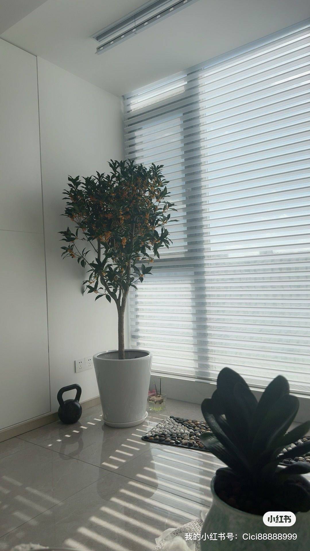 Shanghai-Pudong-领包入住,Cozy Home,Clean&Comfy,Hustle & Bustle,Chilled