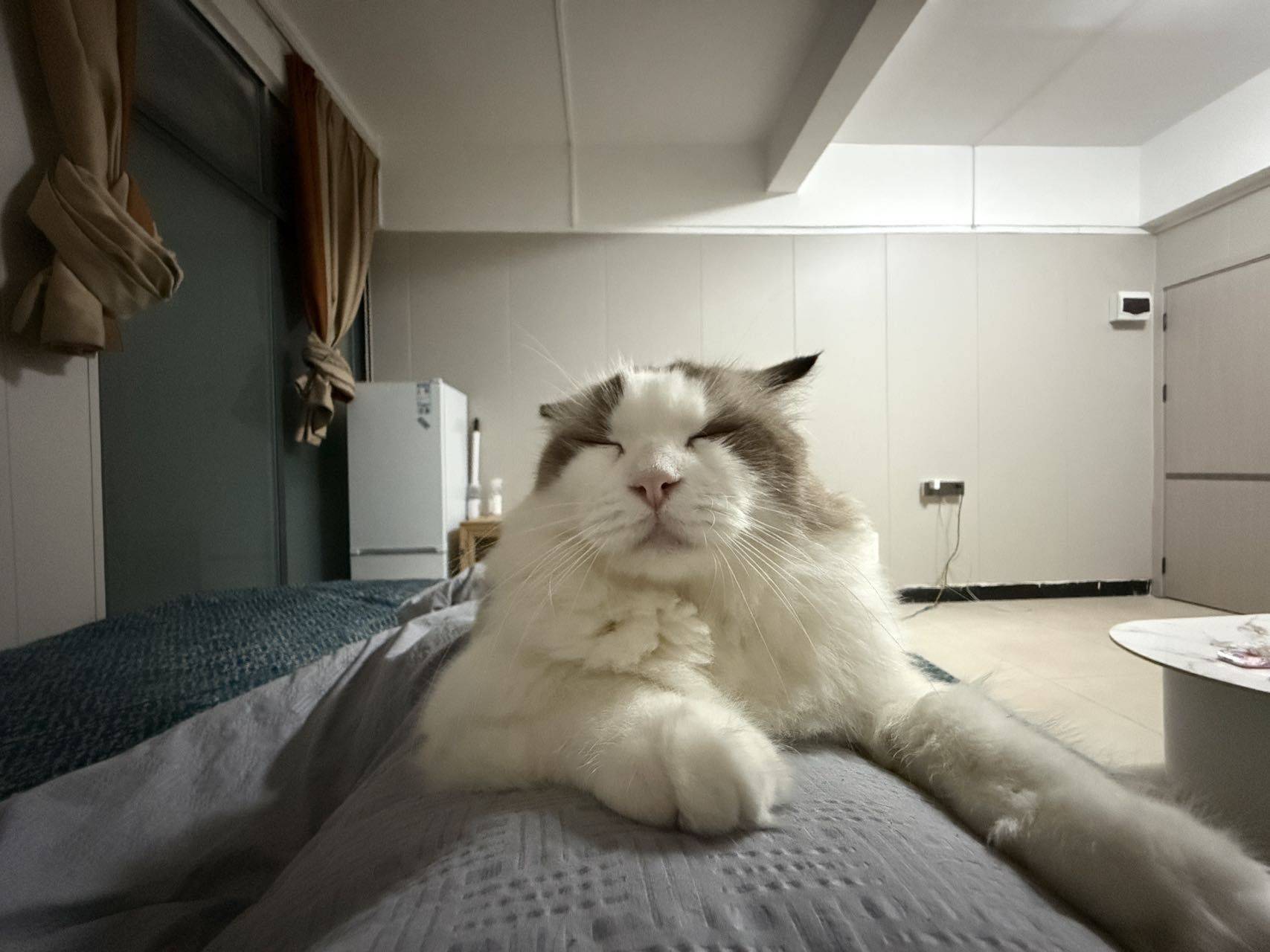 Guangzhou-Baiyun-Cozy Home,Clean&Comfy,No Gender Limit,Chilled,Pet Friendly