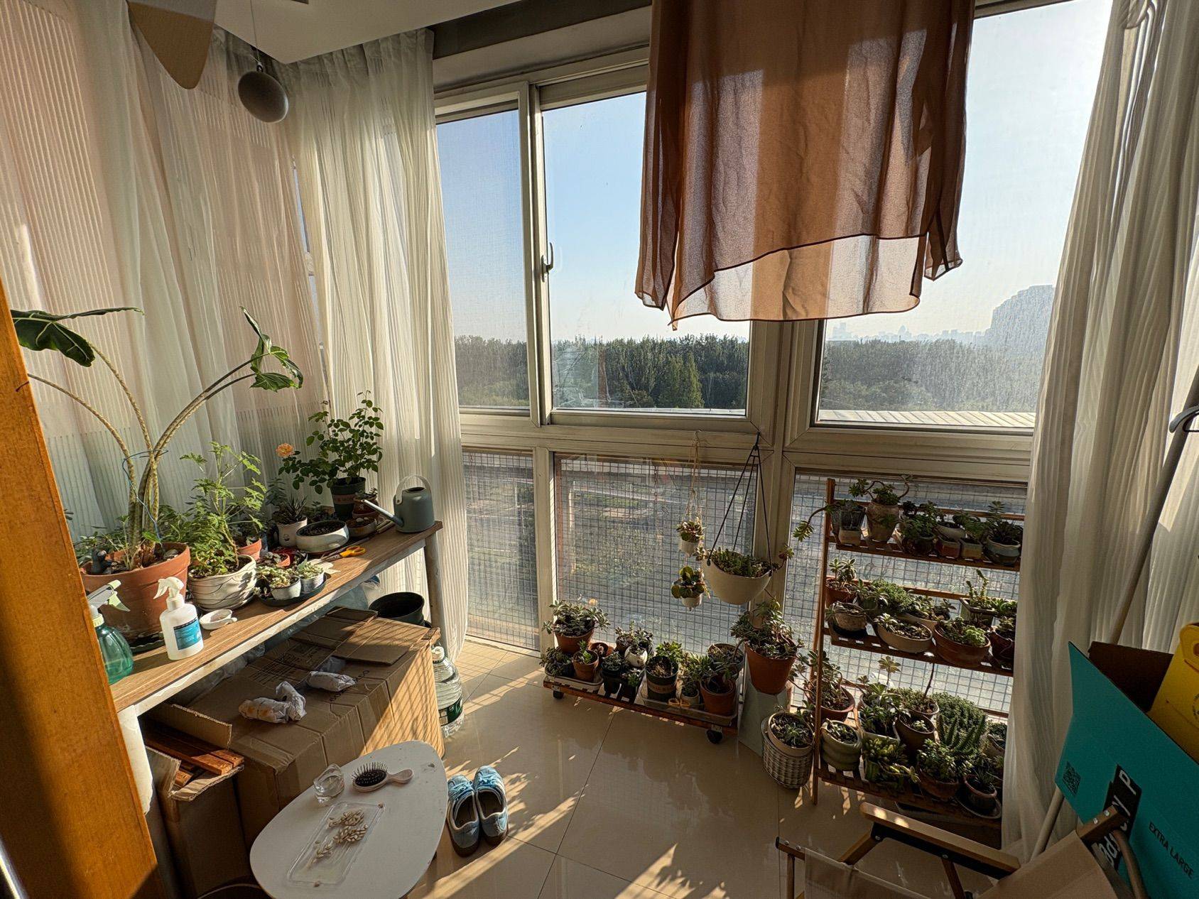 北京-朝阳-温馨小窝,干净治愈,不限性别,慢时光