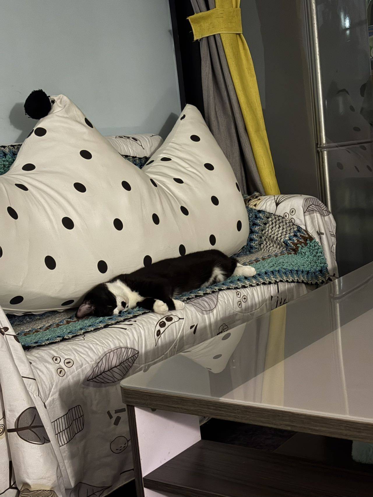 广州-增城-溫馨小窩,乾淨治愈