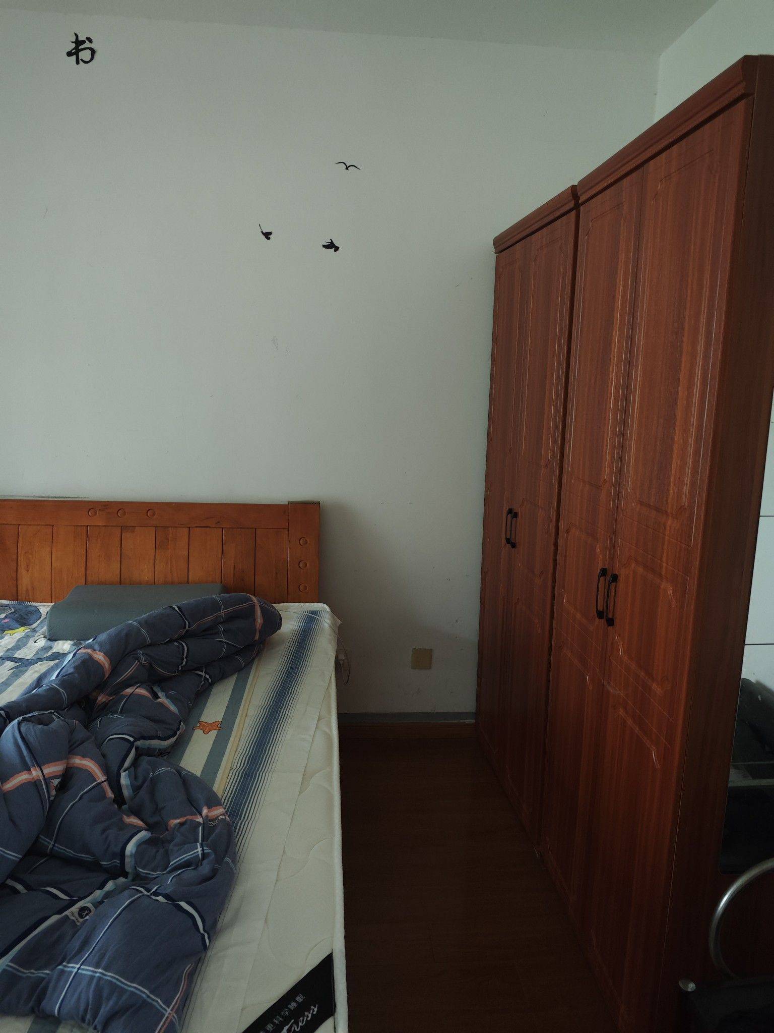 合肥-包河-温馨小窝,干净治愈,不限性别,市井烟火气,老友记,慢时光,LGBTQ友好,宠物友好