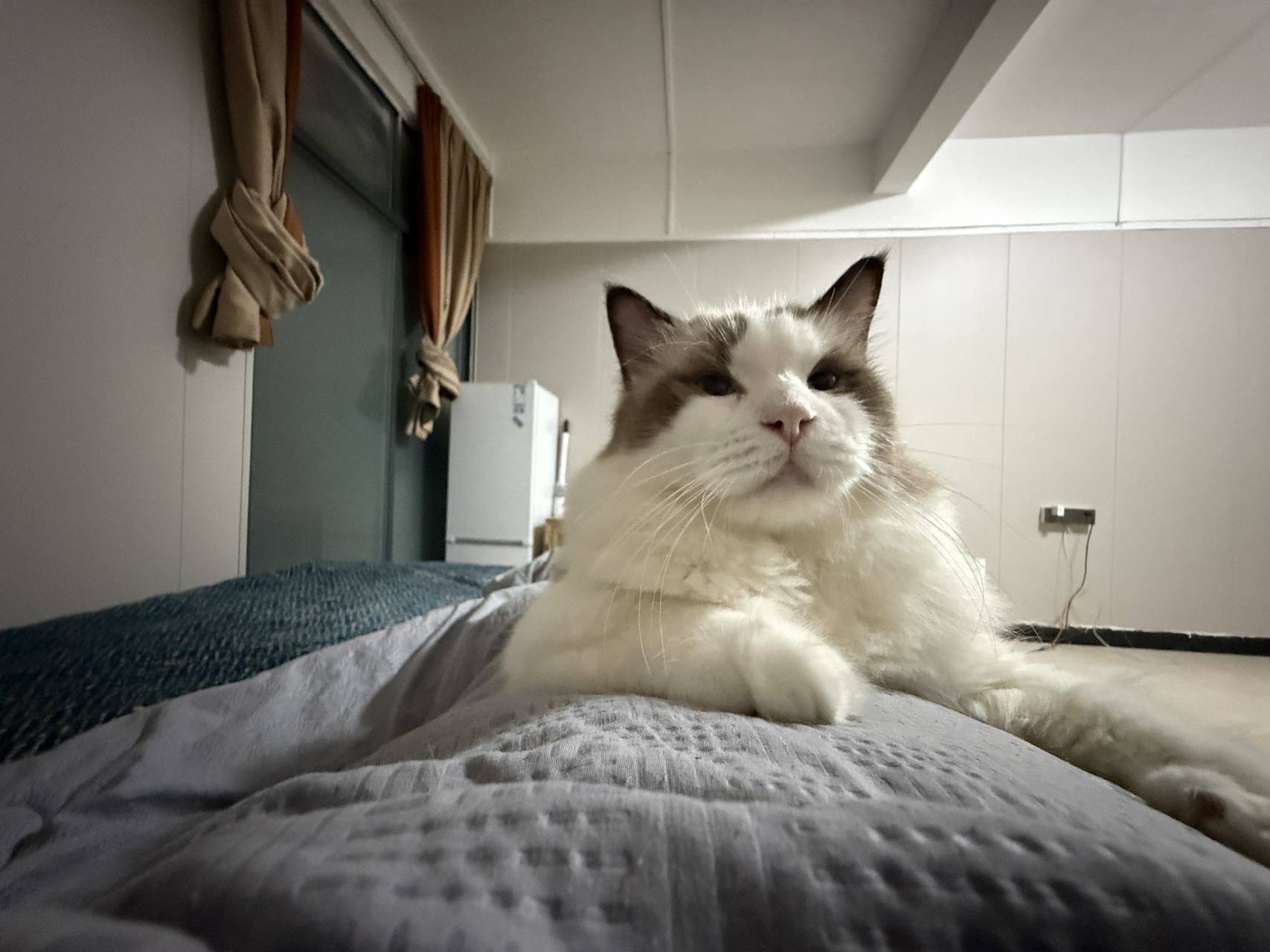 Guangzhou-Baiyun-Cozy Home,Clean&Comfy,No Gender Limit,Chilled,Pet Friendly