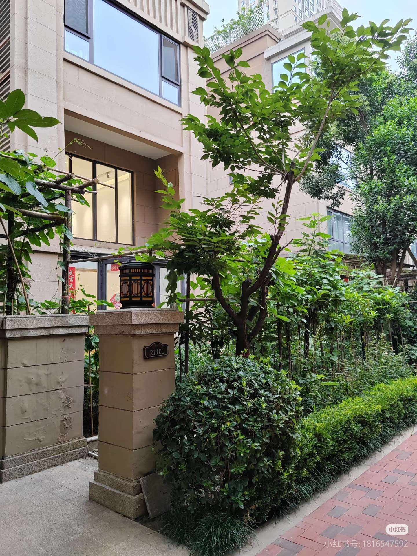 飞猪队整租房源2