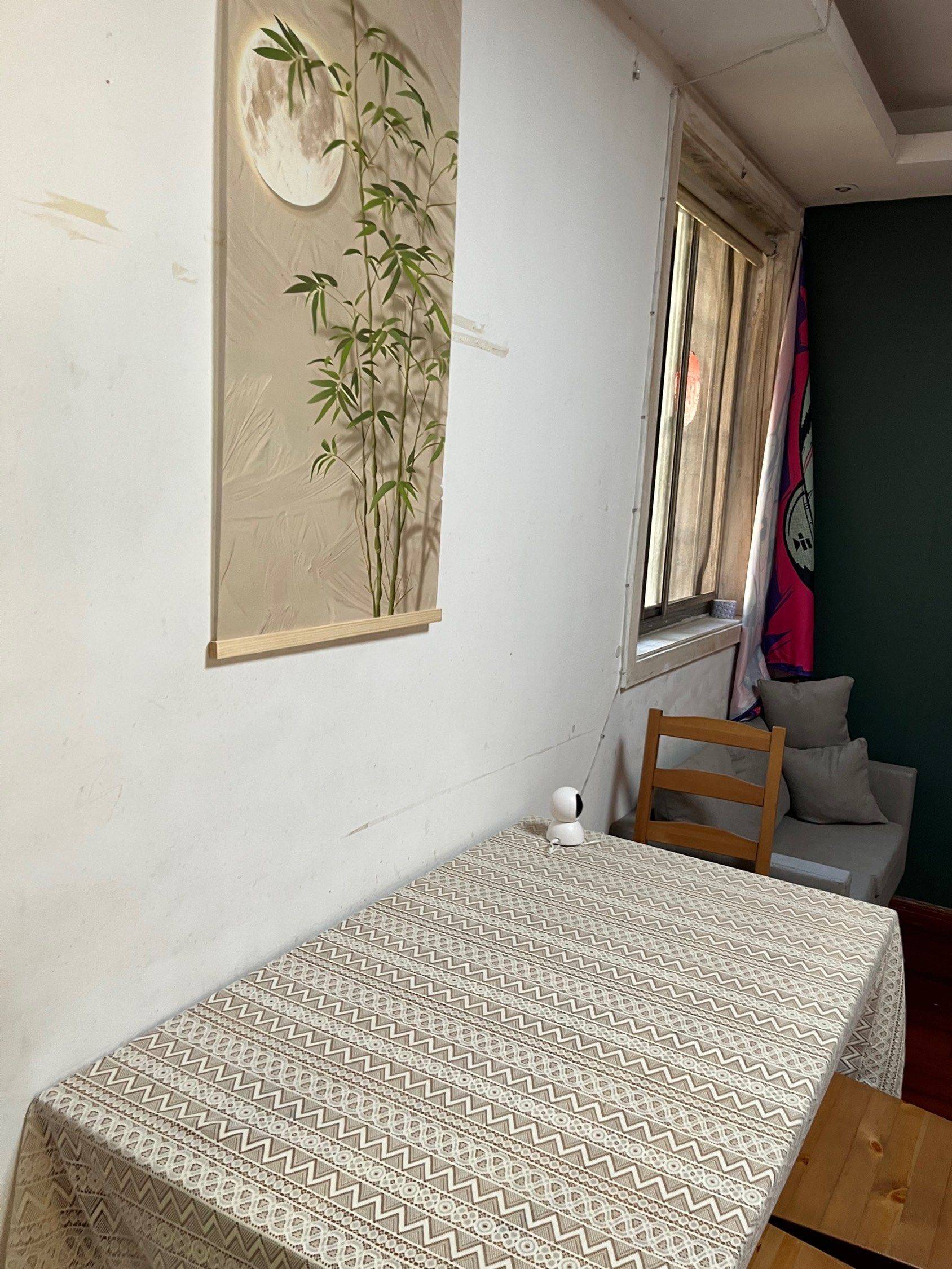 Shanghai-Pudong-Cozy Home,Clean&Comfy,No Gender Limit