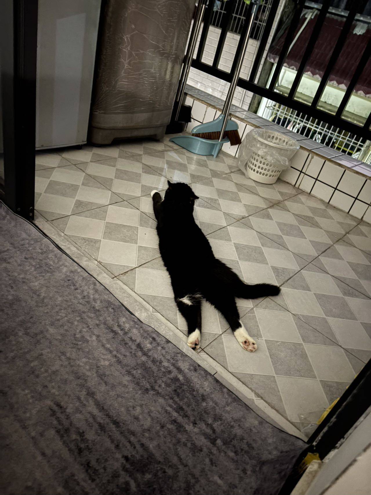 广州-增城-溫馨小窩,乾淨治愈