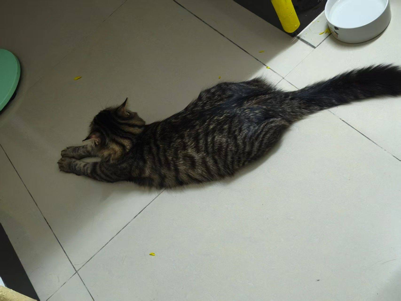 广州-白雲-溫馨小窩,乾淨治愈,市井煙火氣,老友記,慢時光