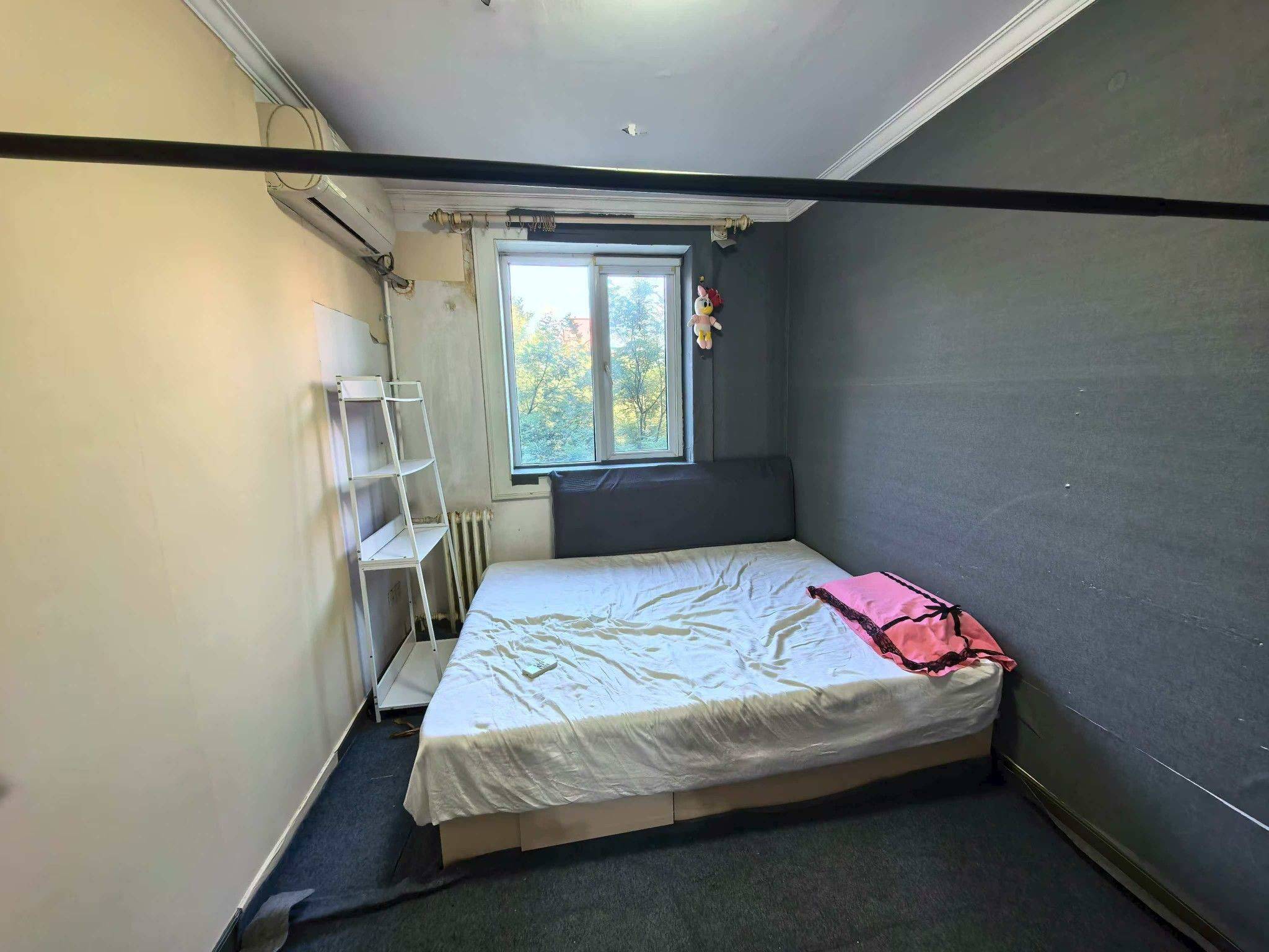 北京-朝阳-温馨小窝,干净治愈,不限性别