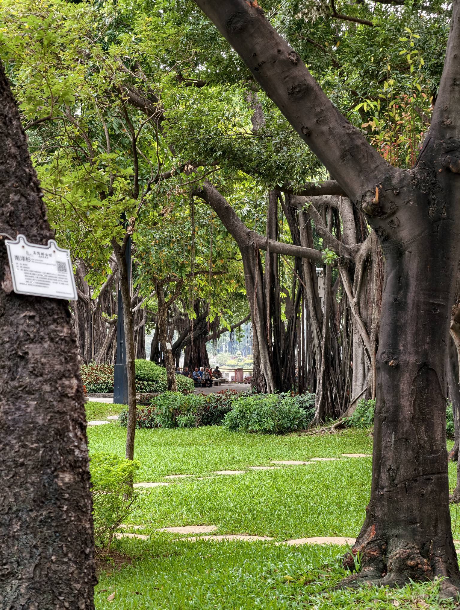 广州 荔湾 | 荔湖明苑亲晴天_7