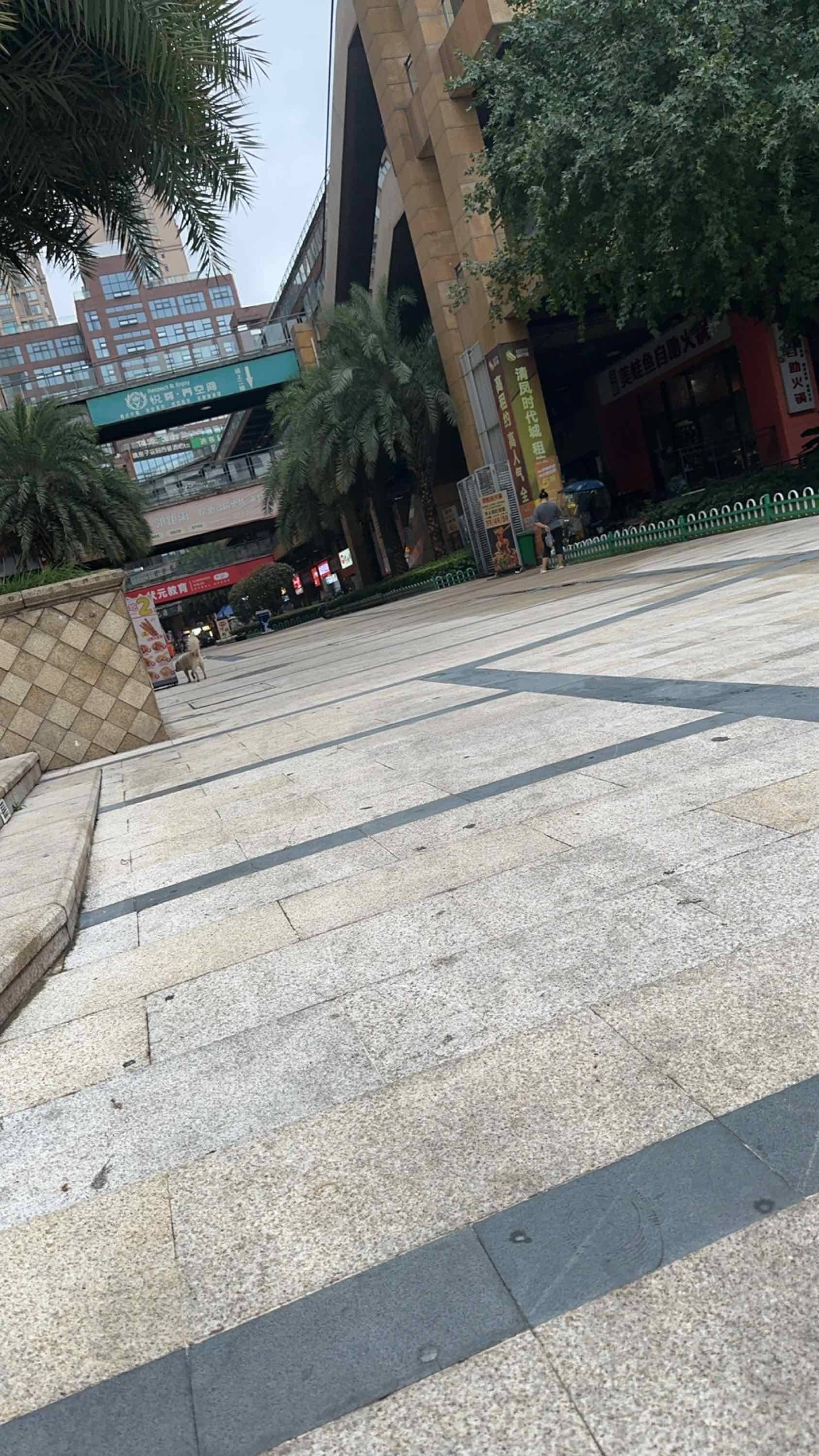 故人整租房源2