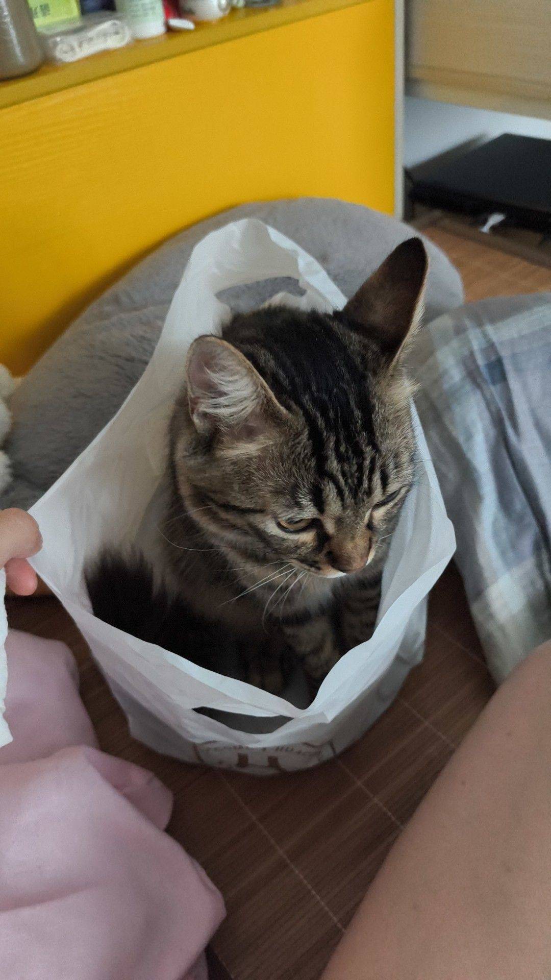 广州-白雲-溫馨小窩,乾淨治愈,市井煙火氣,老友記,慢時光