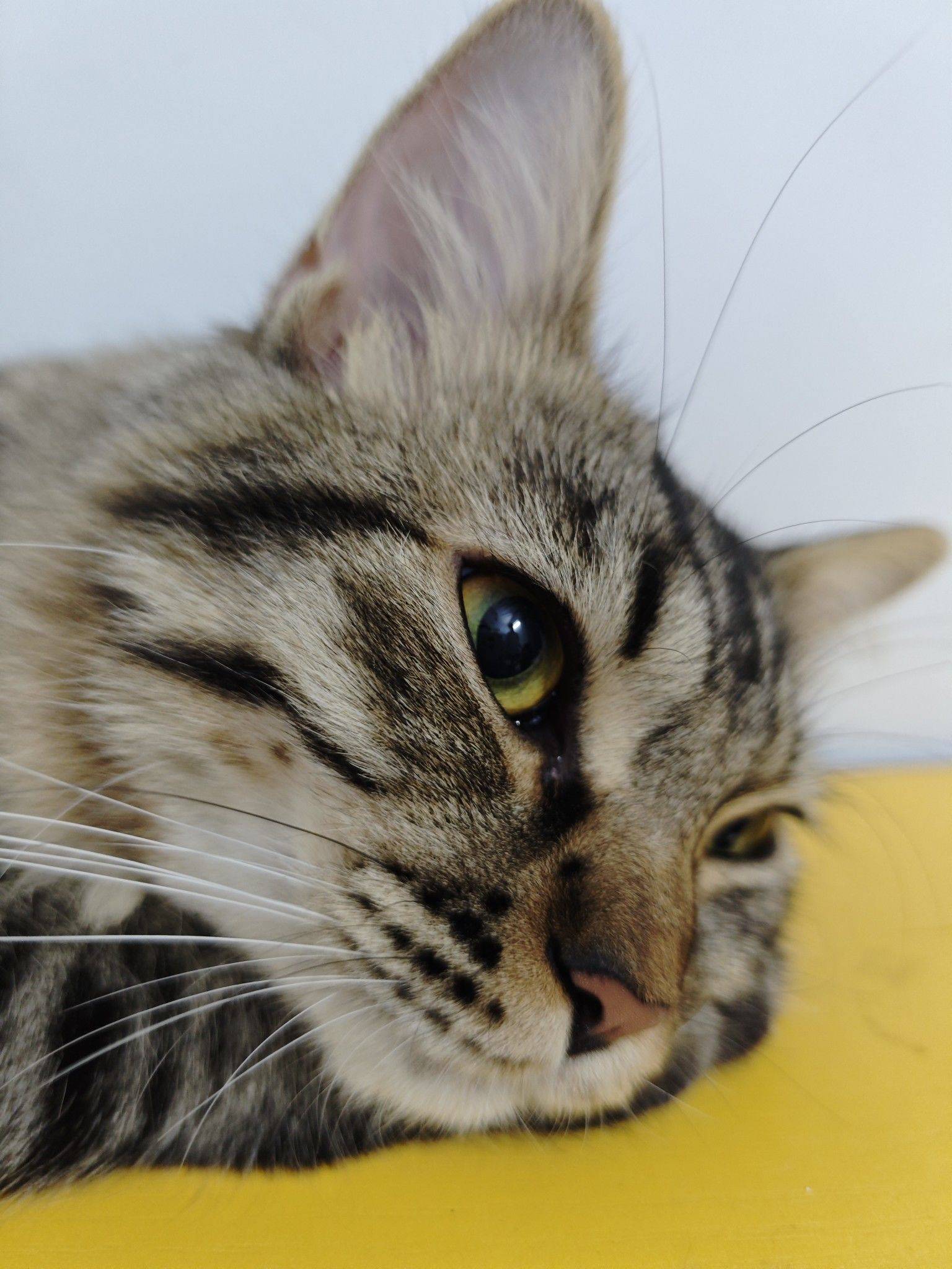 广州-白雲-溫馨小窩,乾淨治愈,市井煙火氣,老友記,慢時光