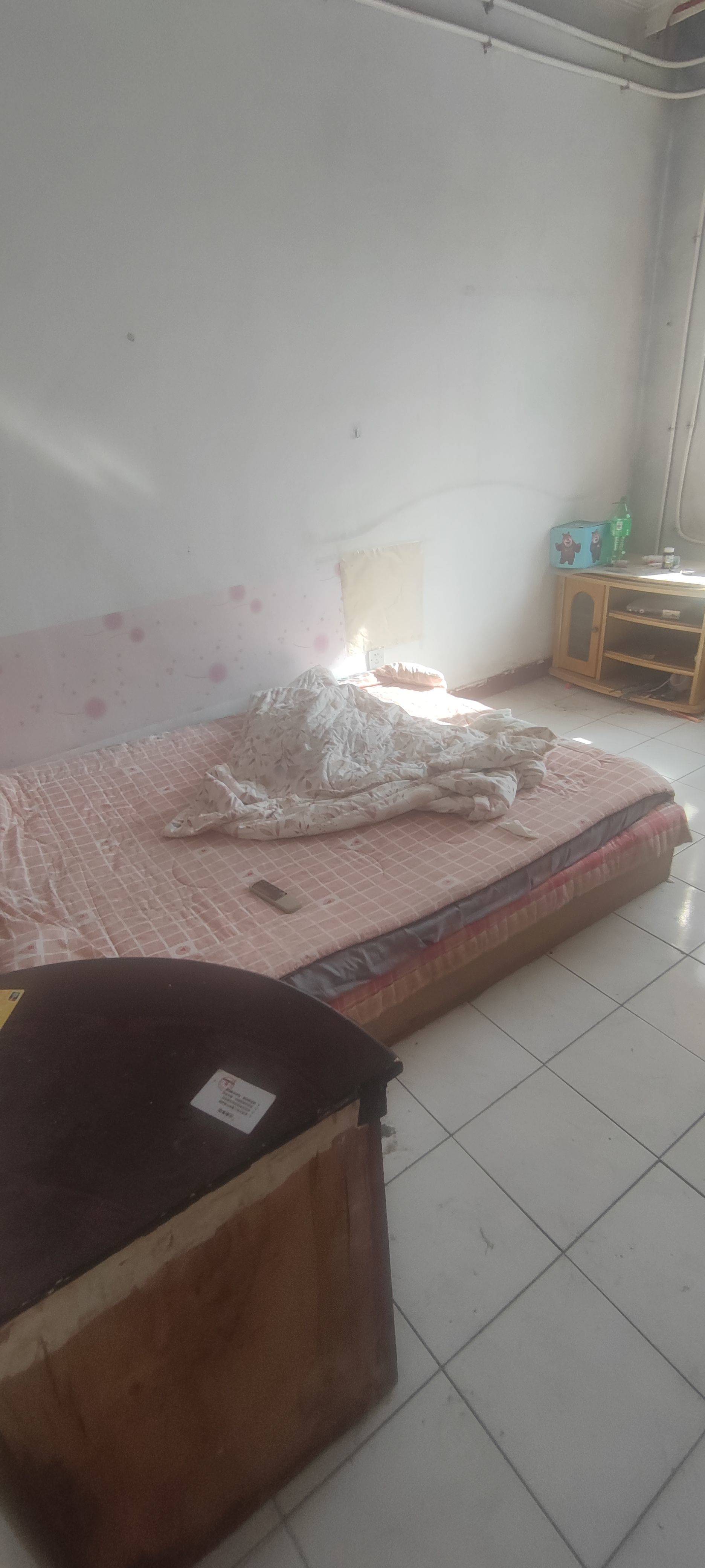 Tianjin-Xiqing-Cozy Home,Clean&Comfy,“Friends”,Chilled