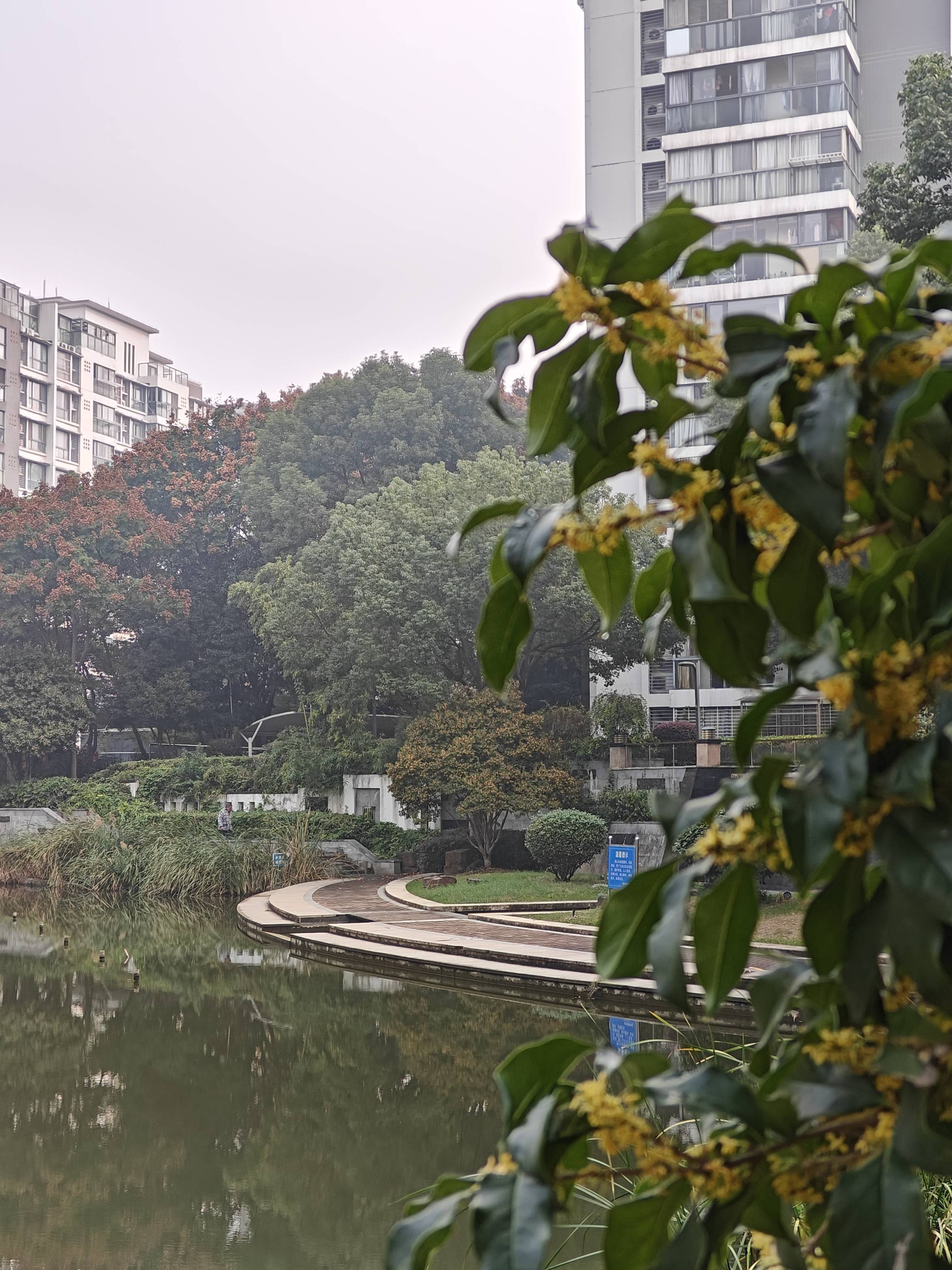 Suzhou-Xiangcheng-Cozy Home,Clean&Comfy