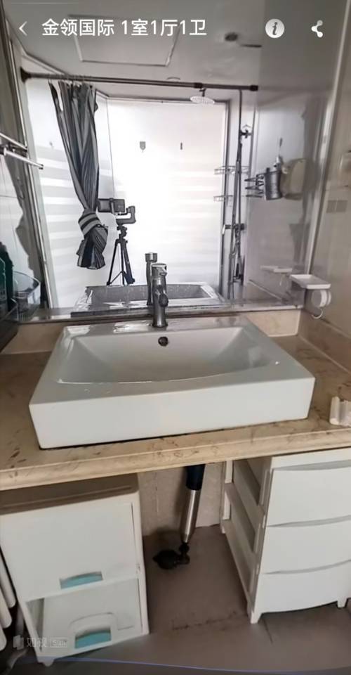 菩提树整租房源1