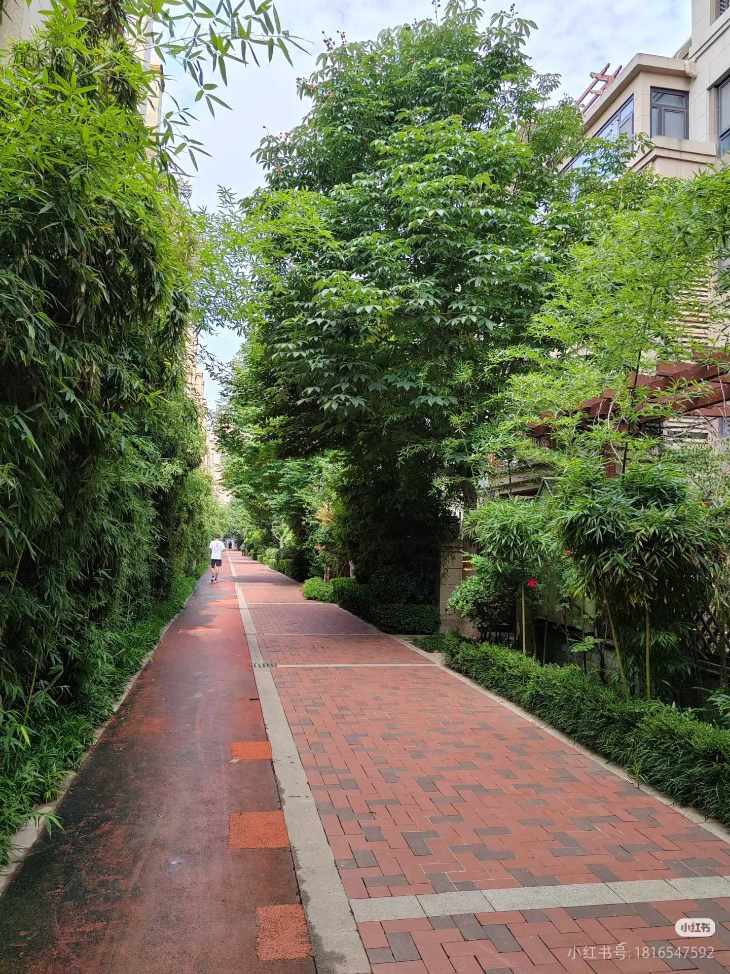 飞猪队整租房源1