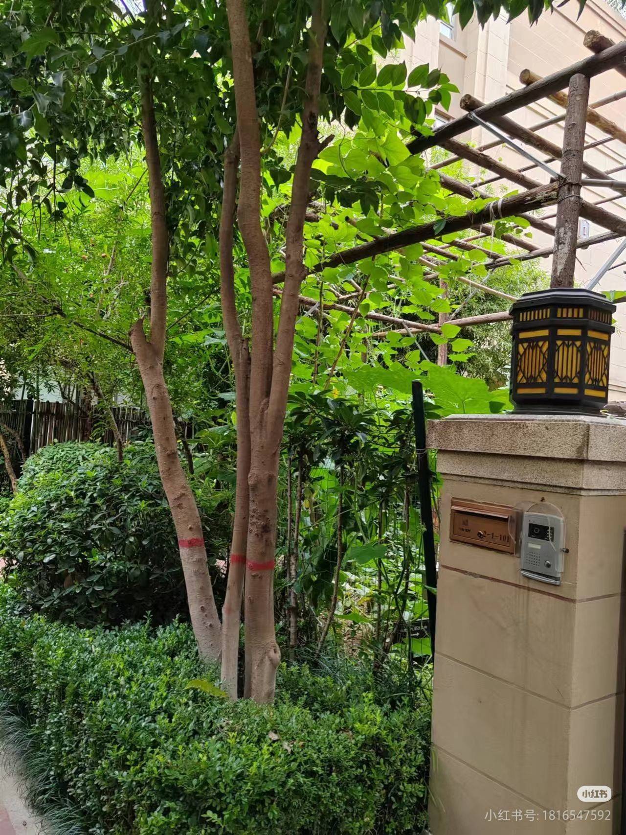 飞猪队整租房源3