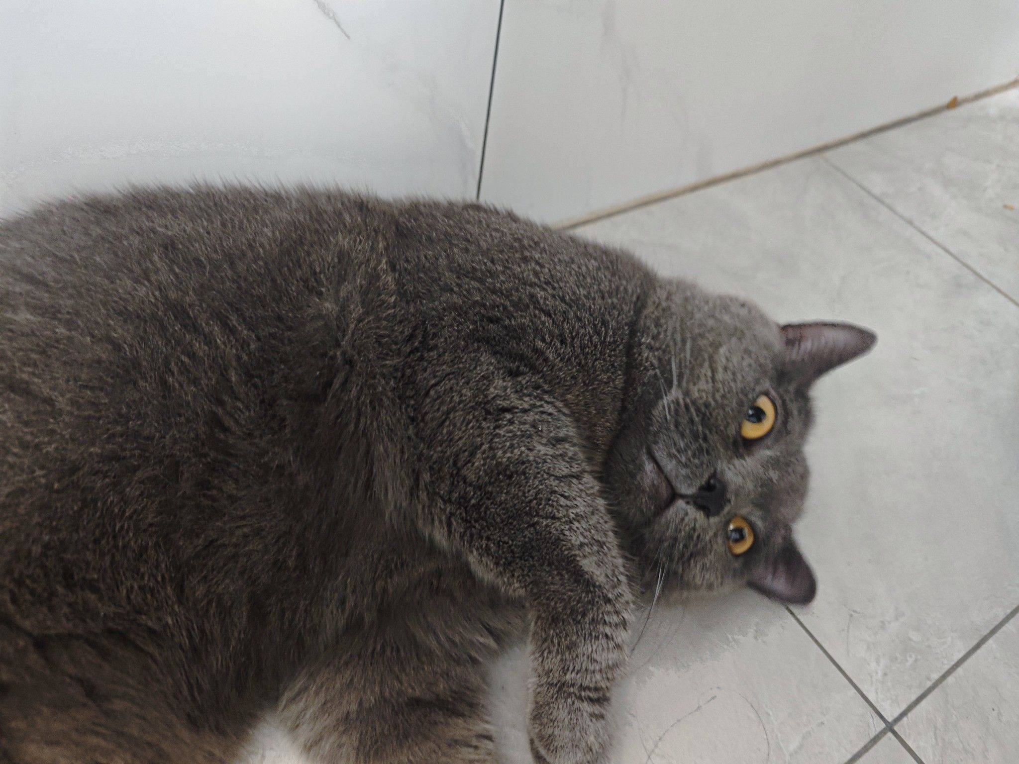 我是一只🐭🐭捏整租房源3