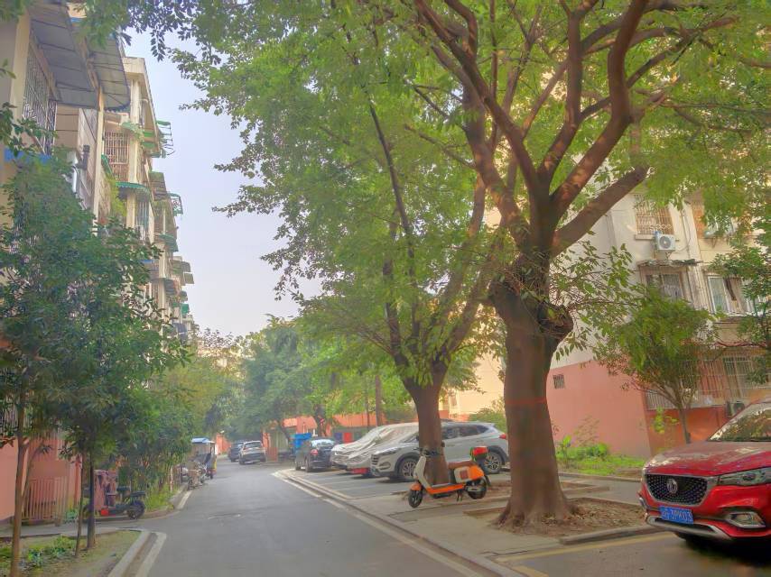 Chengdu Chenghua | 站北东街3号院_6