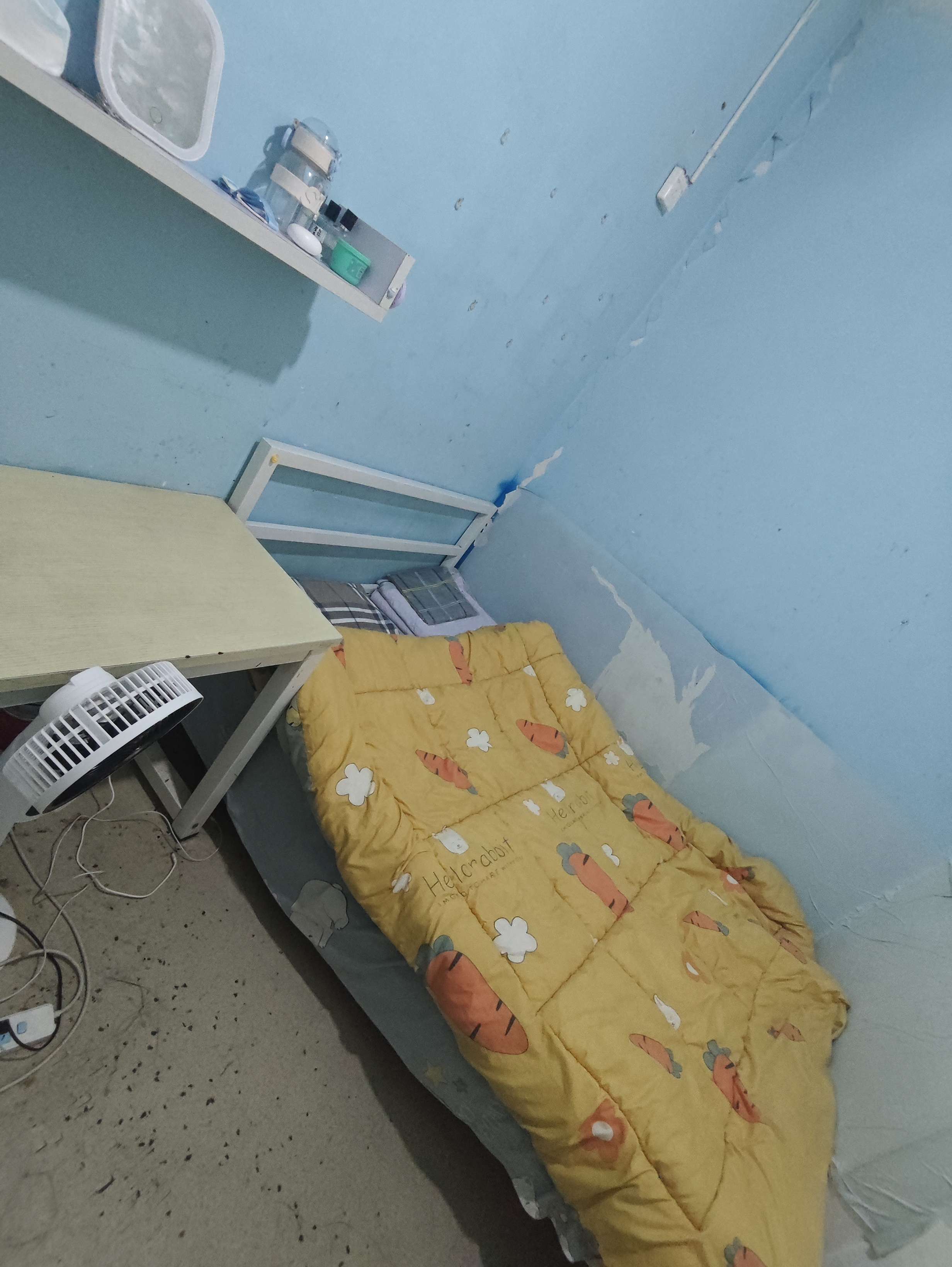 写一寸雪未眠整租房源3