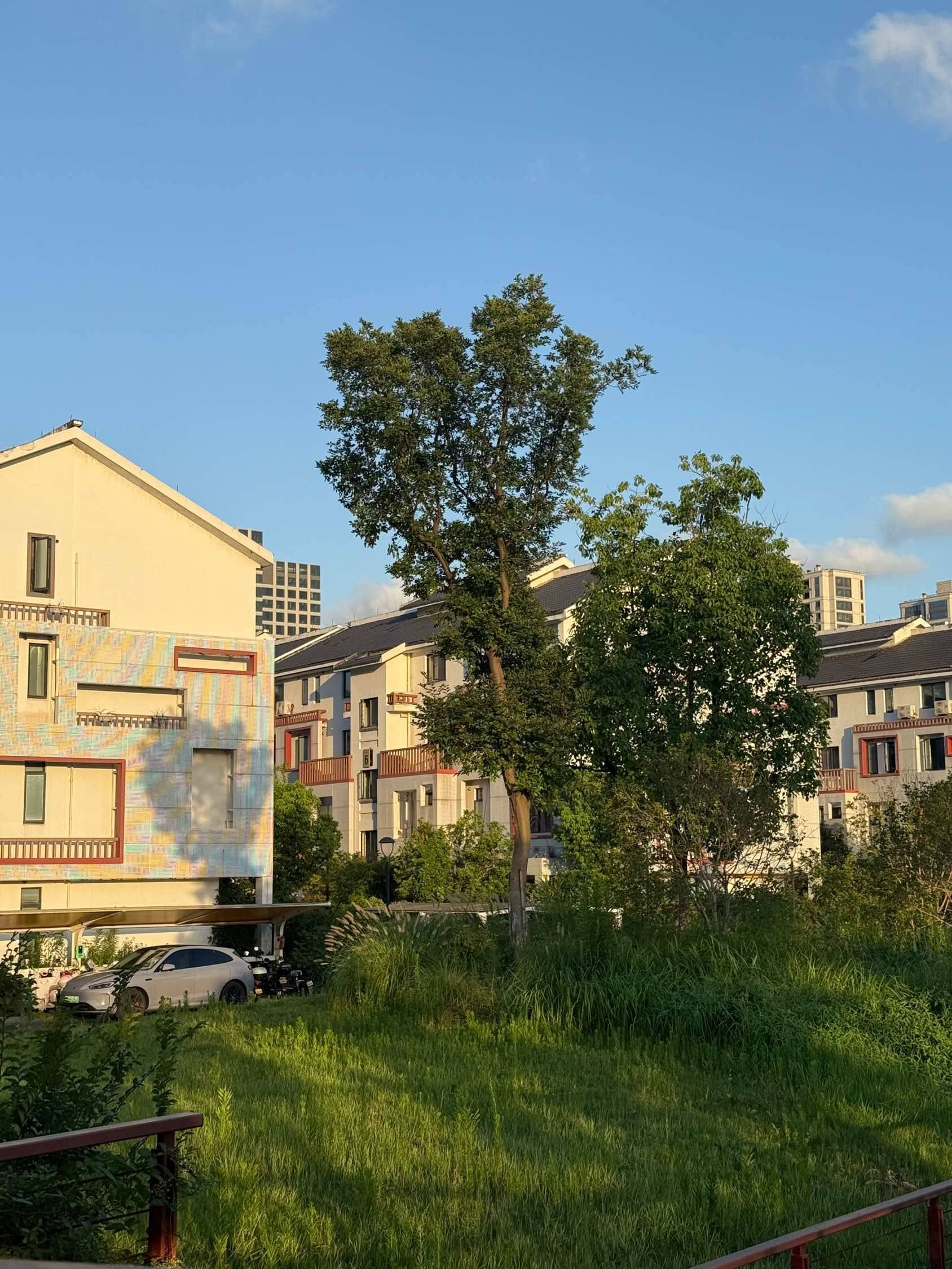 Hangzhou-Gongshu-Cozy Home,Clean&Comfy,No Gender Limit,Hustle & Bustle,“Friends”,Chilled,LGBTQ Friendly,Pet Friendly