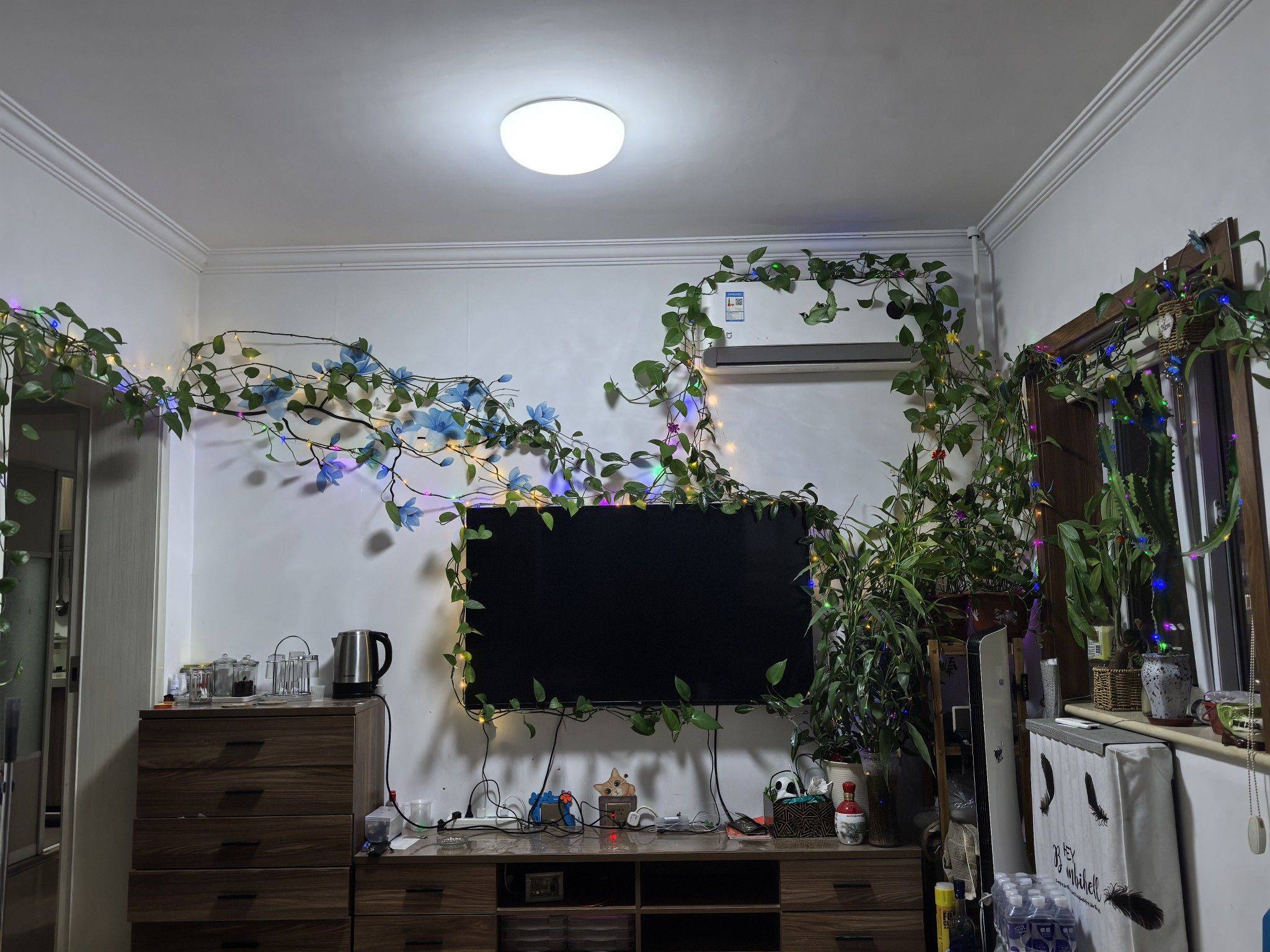 左邻右舍整租房源2