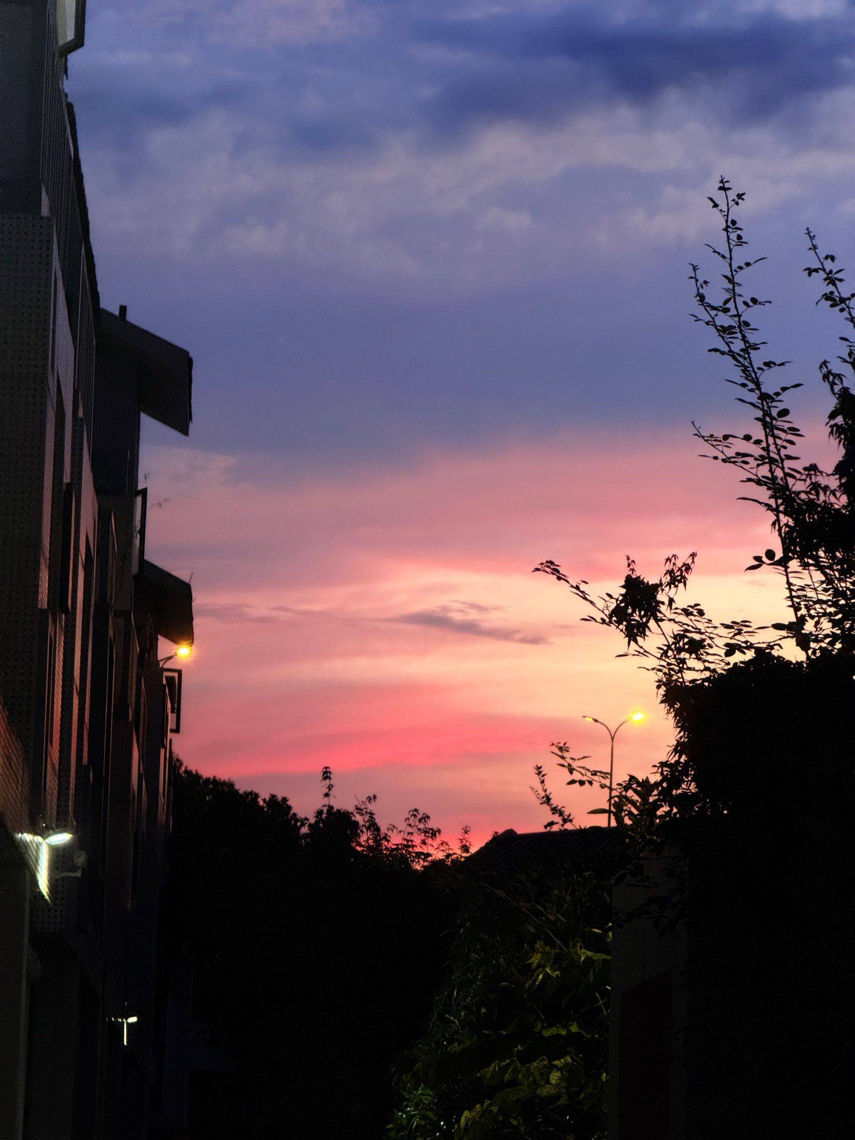 Hangzhou-Gongshu-Cozy Home,Clean&Comfy,No Gender Limit,Hustle & Bustle,“Friends”,Chilled,LGBTQ Friendly,Pet Friendly