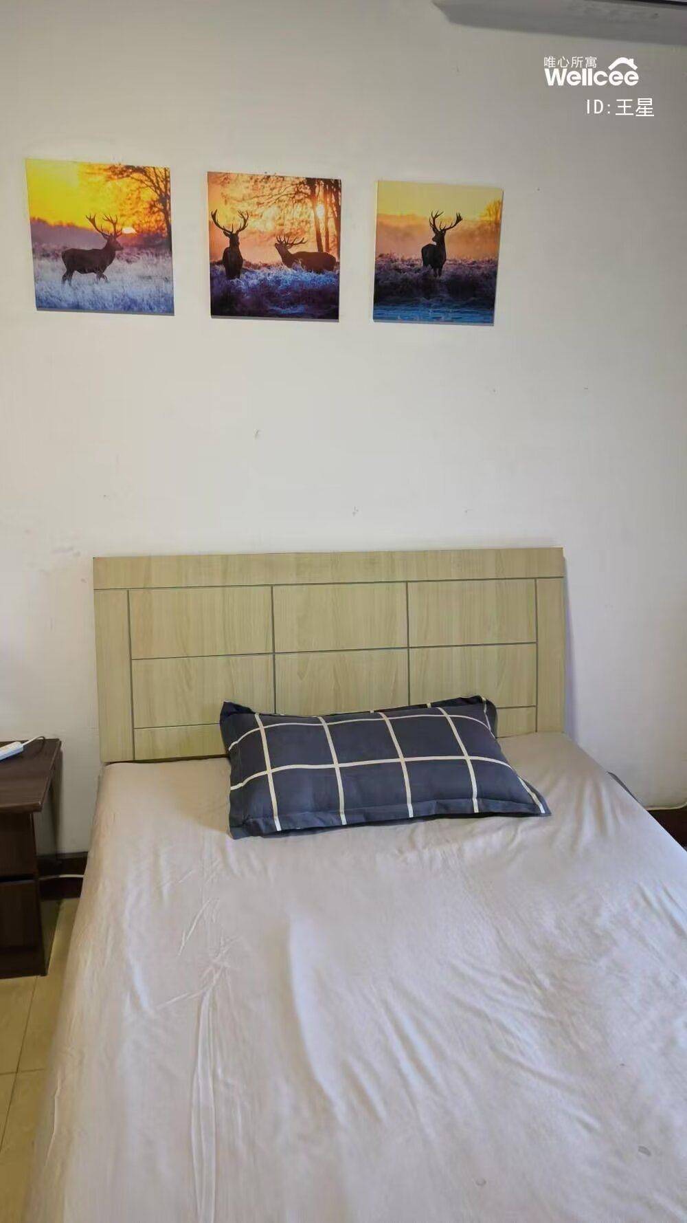 Xi'An-Yanta-Cozy Home,Clean&Comfy,No Gender Limit,Hustle & Bustle,“Friends”,Chilled