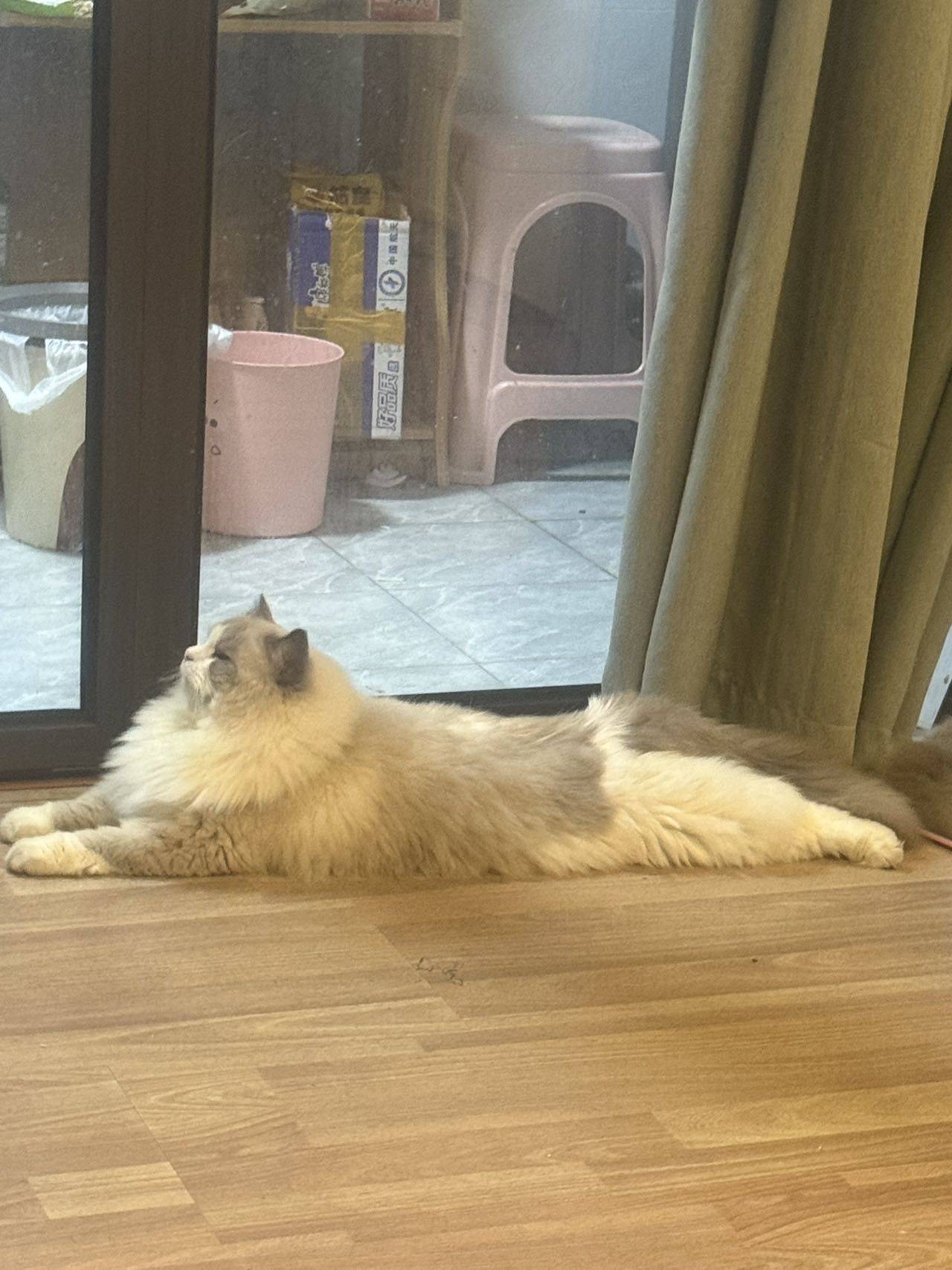 Suzusaki整租房源2