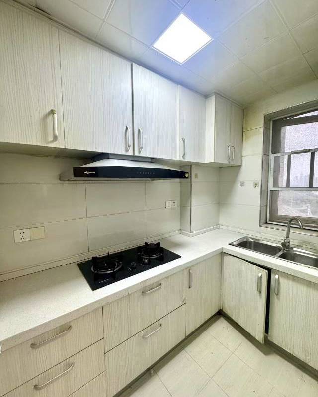 Wuhan Dongxihu | 愿景时代-1栋_4