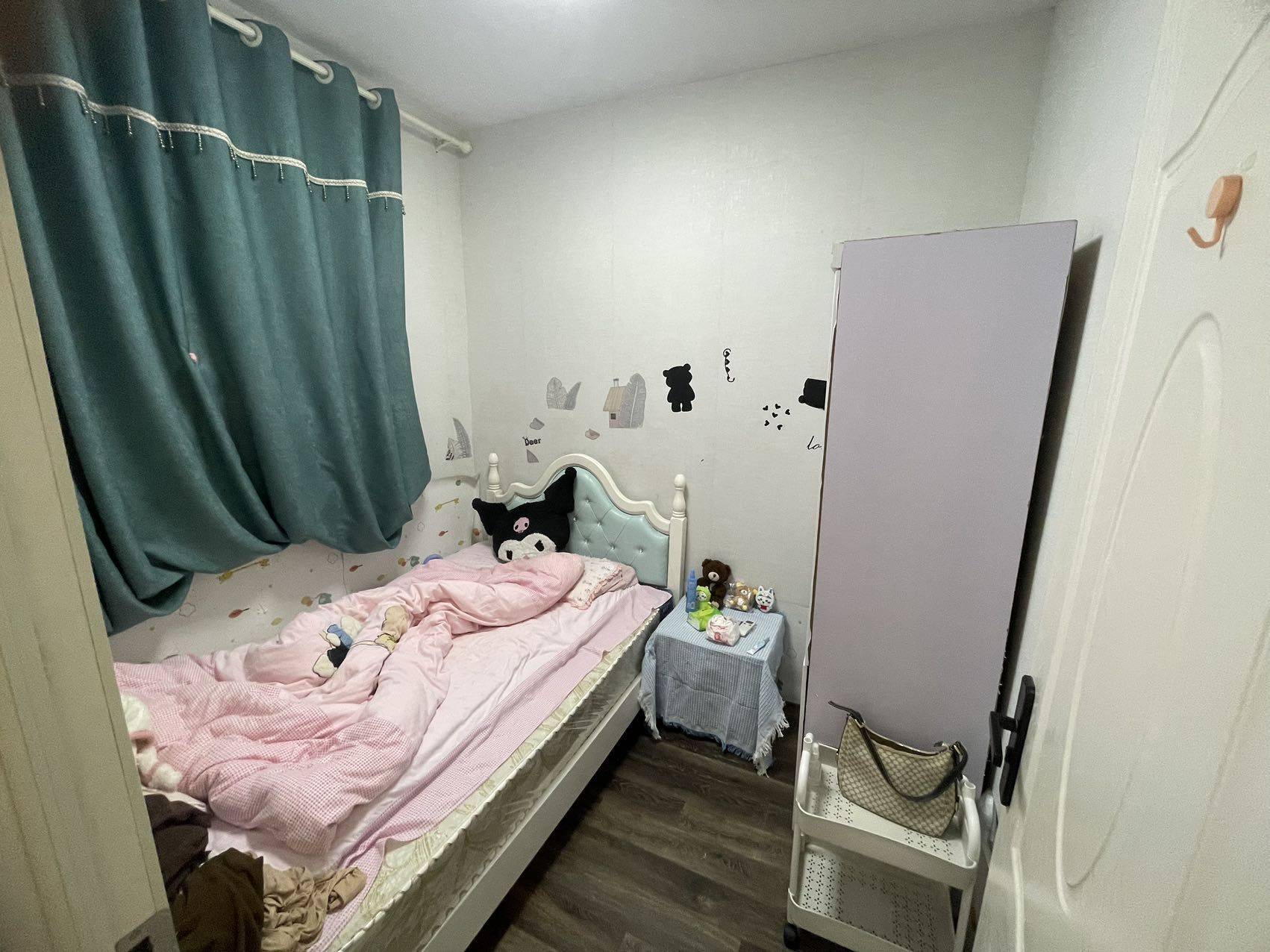 合肥-包河-温馨小窝,干净治愈,不限性别,市井烟火气,LGBTQ友好,宠物友好