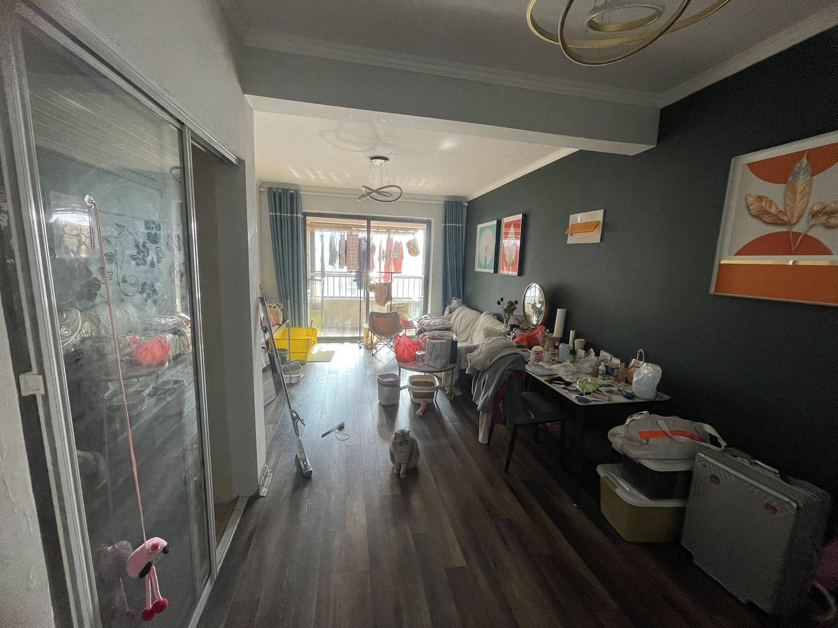 合肥-包河-温馨小窝,干净治愈,不限性别,市井烟火气,LGBTQ友好,宠物友好