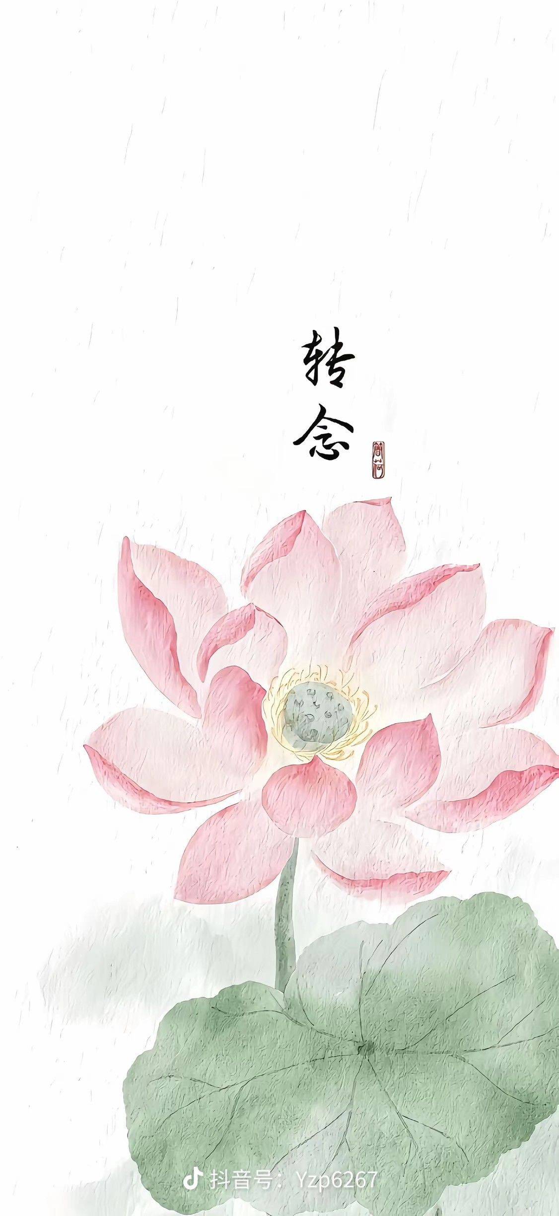 Jinghai 静华东苑
