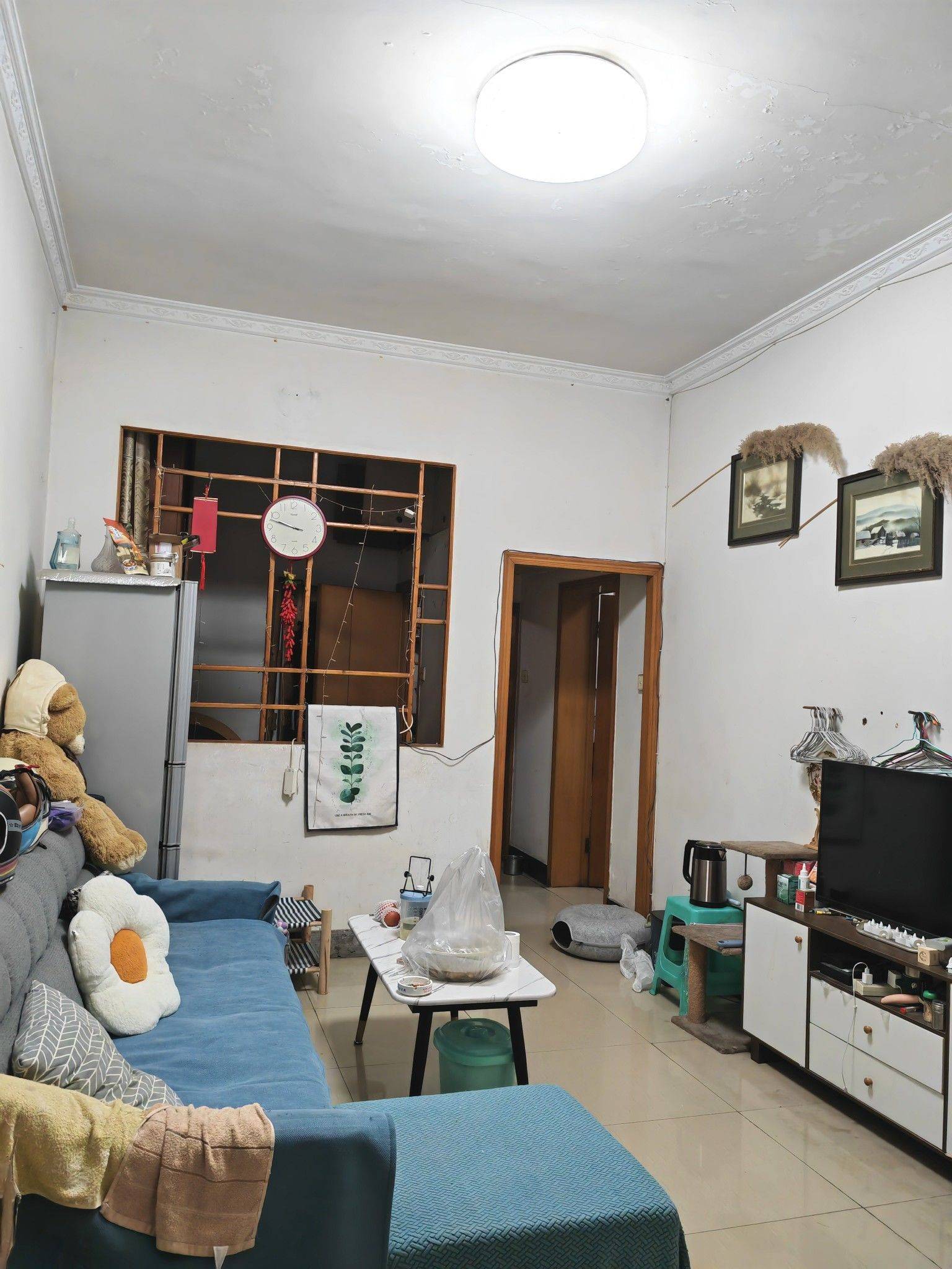 渝中 枇杷山正街104号-20栋