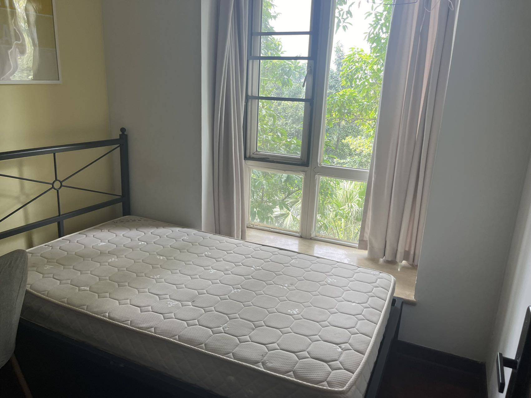 pig阿帕整租房源2