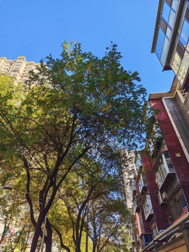 石家莊 橋西 | 市审计局宿舍_4