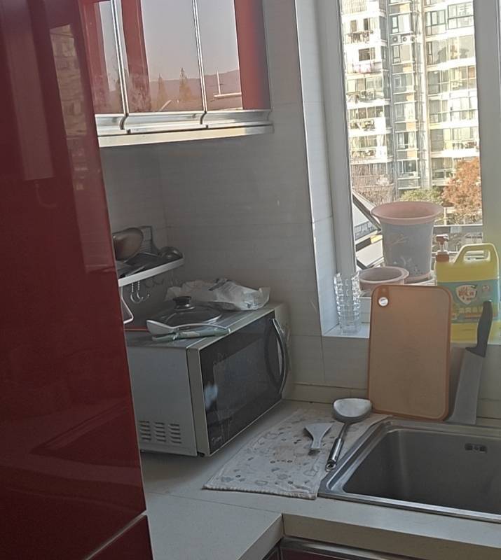 Nanjing Xuanwu | 小卫街159号小区_5